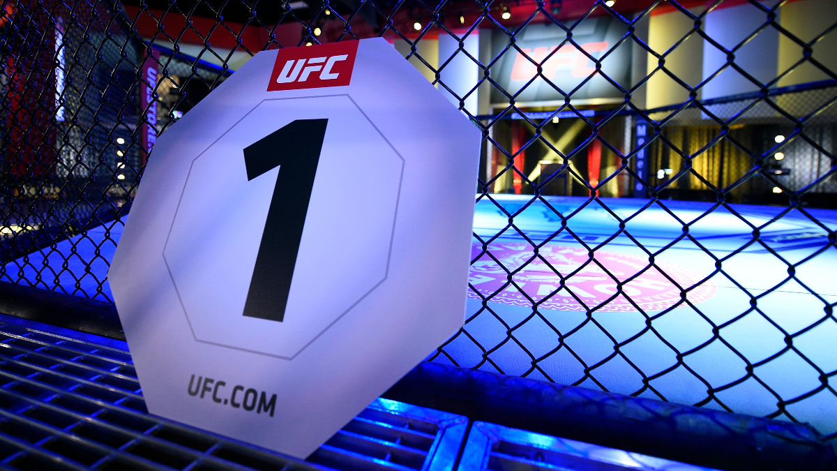 Арена UFC В Лас Вегасе